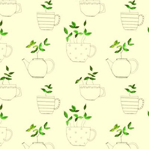 tea plants in tea cups on cream