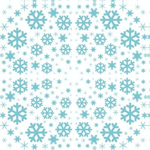 Snowflake Vortex