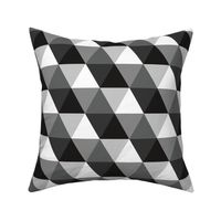 Retro black & white hexagons check geometrics