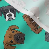 all the boxers - teal