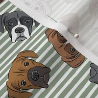 all the boxers - sage stripes
