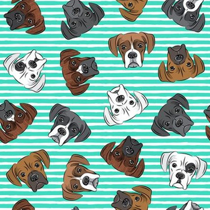 all the boxers - teal stripes