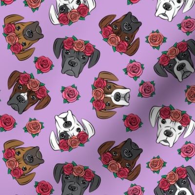 all the boxers with floral crowns - purple
