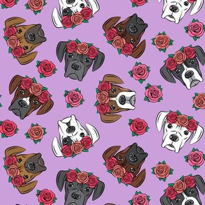 all the boxers with floral crowns - purple