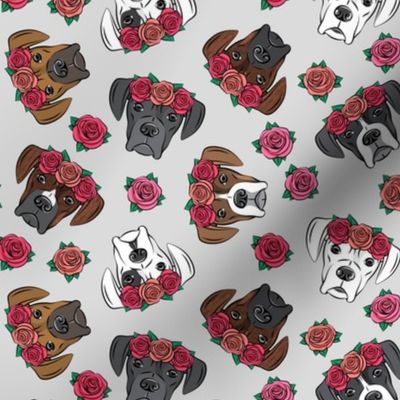 all the boxers with floral crowns - light grey
