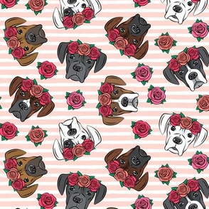 all the boxers with floral crowns - pink stripes