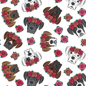 all the boxers with floral crowns -white