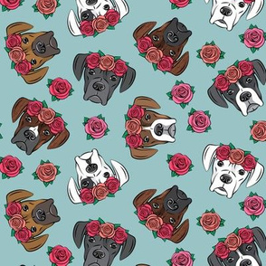 all the boxers with floral crowns - dusty blue