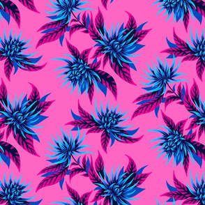 Chrysanthemums - Pink / Blue