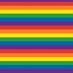 LGBT Gay Rainbow Pride Flag 