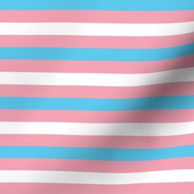Trans LGBT Pride Flag