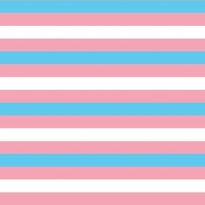 Trans LGBT Pride Flag