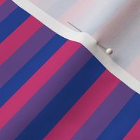 Bisexual LGBT Pride Flag