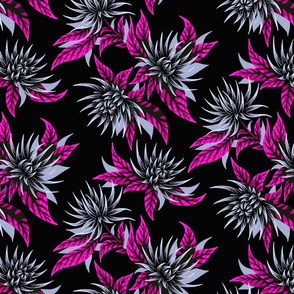 Chrysanthemums - Purple / Black