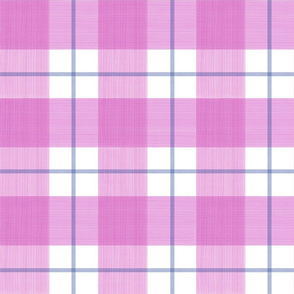 Double Buffalo Plaid in Pink and Blue