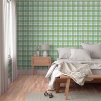 Double Buffalo Plaid in Spring Green and Blue