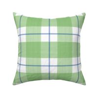 Double Buffalo Plaid in Spring Green and Blue