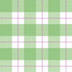 Double Buffalo Plaid in Spring Green and Pink
