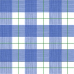 Double Buffalo Plaid Blue and Green