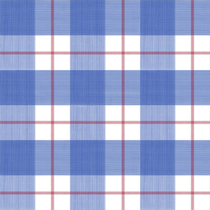 Double Buffalo Plaid in Blue and red