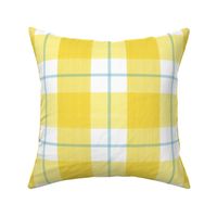 Double Buffalo Plaid in Yellow and Turquoise