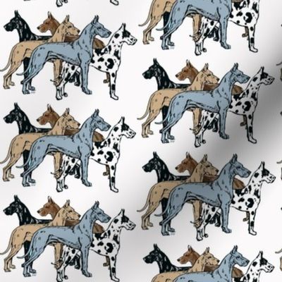 great dane colors on white background fabric