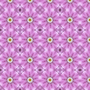 Pink and Daisies 1259