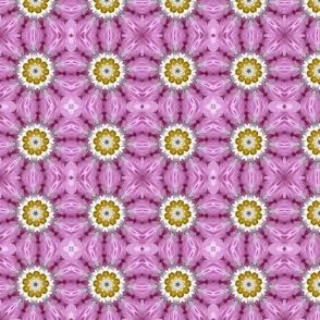 Pink and Daisies 1260