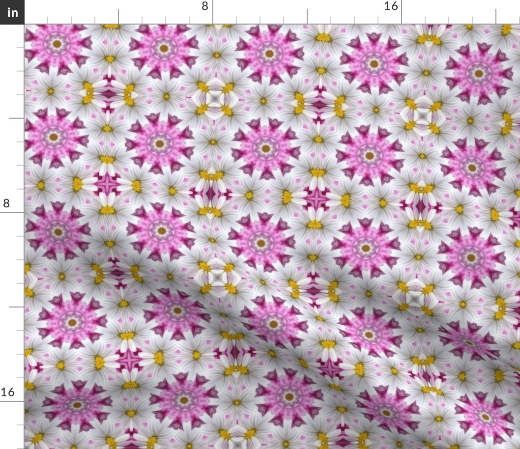 Pink and Daisies 1266