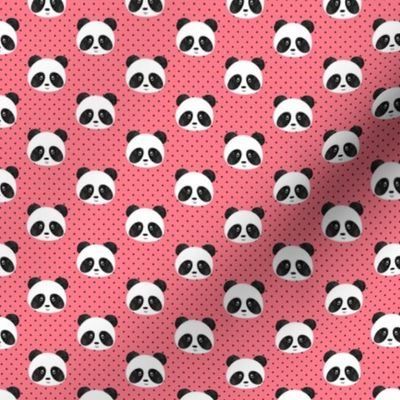 (3/4" scale) pandas on polka dots C18BS