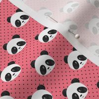 (3/4" scale) pandas on polka dots C18BS