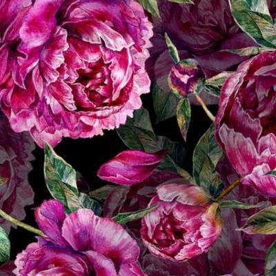 18"  Lush Peony Flowers on Black