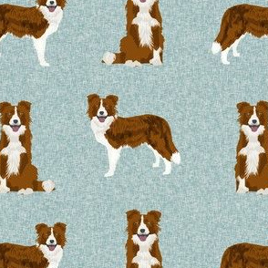 border collie fabric - dog fabric, dog breeds fabric, red border collie, dog breed fabric - blue