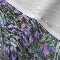 heather-fair_isle-purple knit