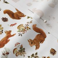 Red Squirrels on White, mini