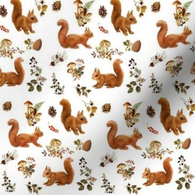 Red Squirrels on White, mini