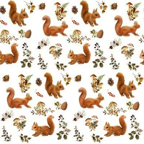 Red Squirrels on White, mini