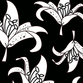 Black and White Lily