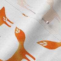 Foxes on white