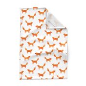 Foxes on white