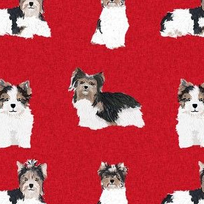 biewer terrier fabric - dog fabric, dog fabric by the yard, terrier dog fabric, cute dog fabric, - red