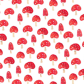 Toadstools medium size