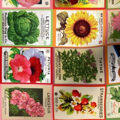 Vintage Seed Packets smaller