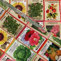 Vintage Seed Packets smaller