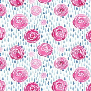 Raindrops on roses - medium
