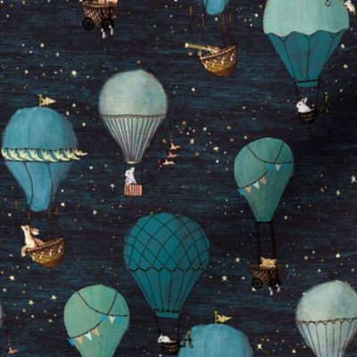 Small Scale Night Animal Adventure Hot Air Balloon Flight