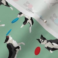 Border Collie Disc Dog fabric - disc dog, dog, dogs, agility dog, border collie fabric, black and white border collie dog, dog fabric by the yard - green