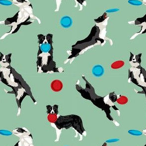 Border Collie Disc Dog fabric - disc dog, dog, dogs, agility dog, border collie fabric, black and white border collie dog, dog fabric by the yard - green