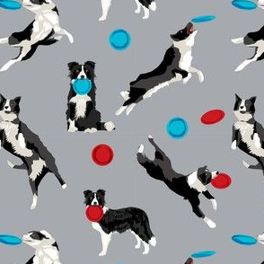 Border Collie Disc Dog fabric - disc dog, dog, dogs, agility dog, border collie fabric, black and white border collie dog, dog fabric by the yard -  grey