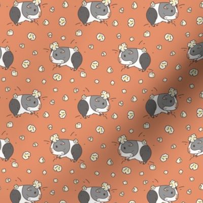 Gray and white Guinea pig popcorning pattern 